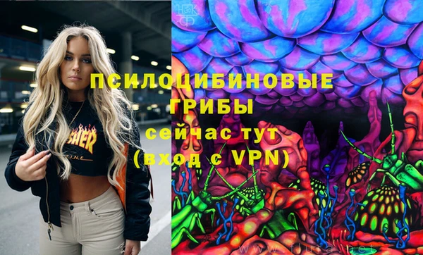 Альфа ПВП Осташков