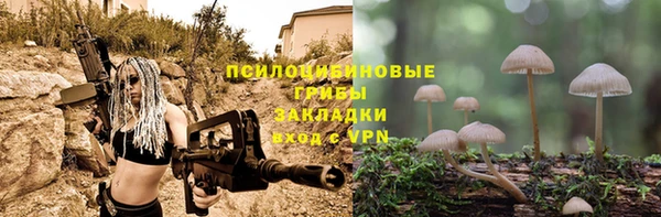 mdpv Остров