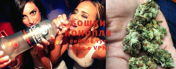 Альфа ПВП Осташков