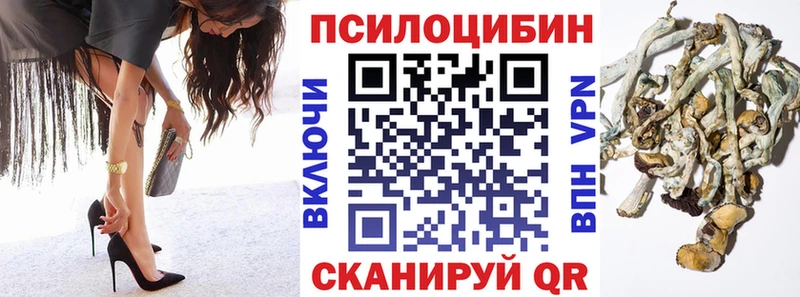 Псилоцибиновые грибы мухоморы  гидра рабочий сайт  Кимовск  продажа наркотиков 