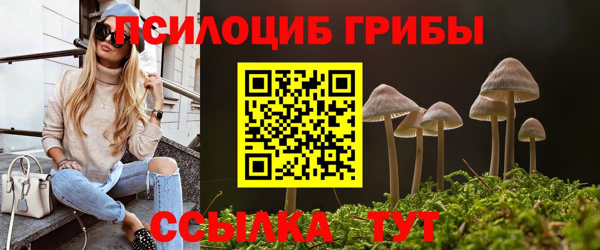 Кимовск  Псилоцибиновые грибы Psilocybe  Вход с VPN 