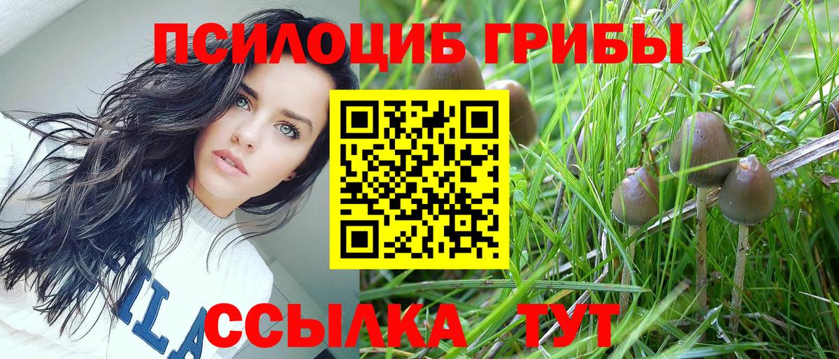 Галлюциногенные грибы прущие грибы Кимовск